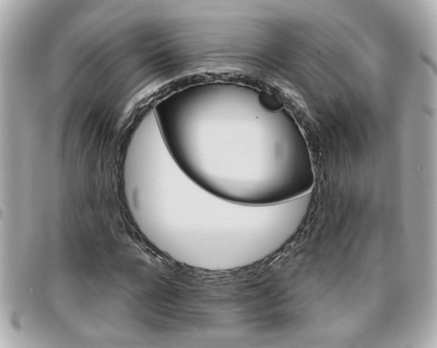 X0000096440920200801241114