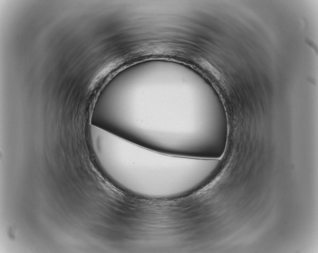 X0000096440922200801241114
