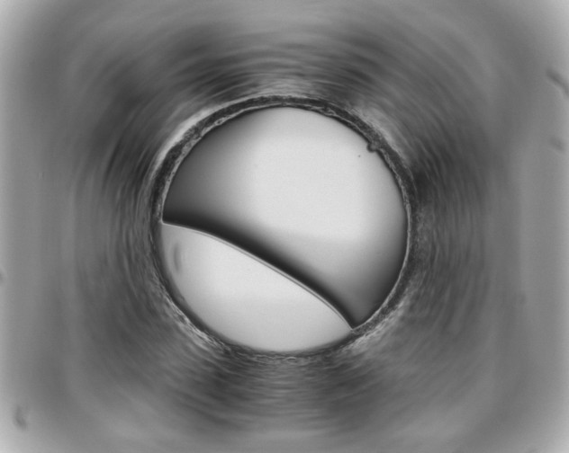 X0000096440923200801241114