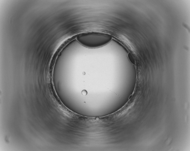 X0000096440924200801241114