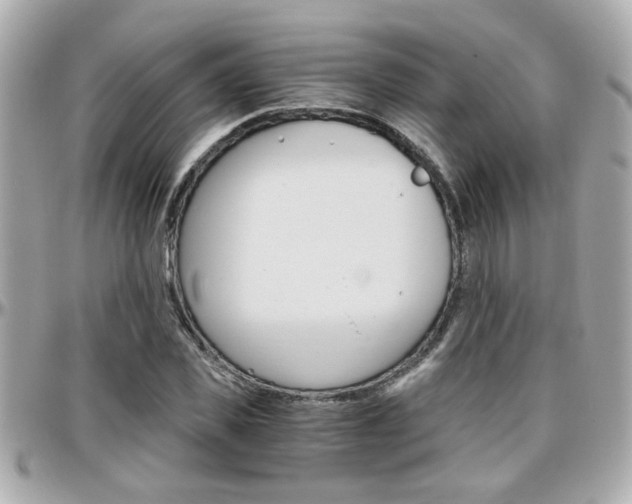 X0000096440925200801241114