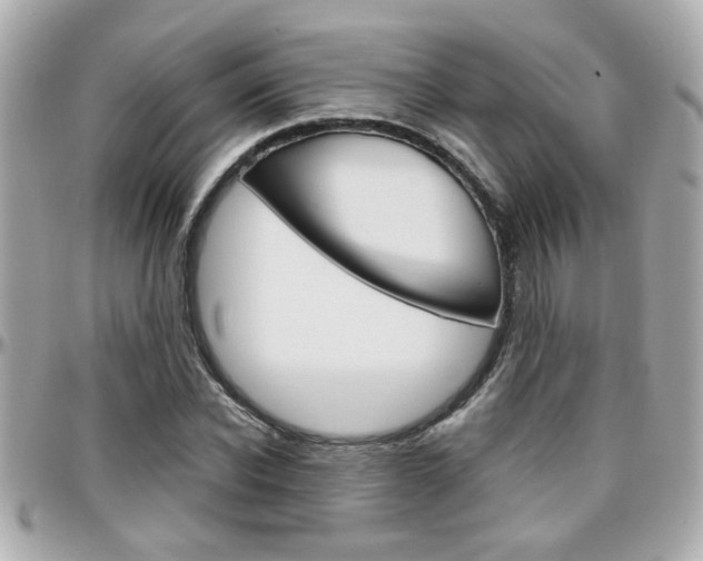 X0000096440926200801241114