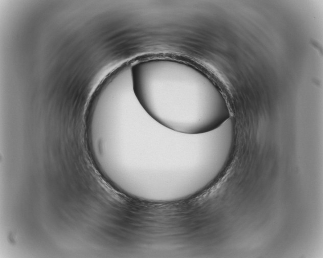 X0000096440927200801241114