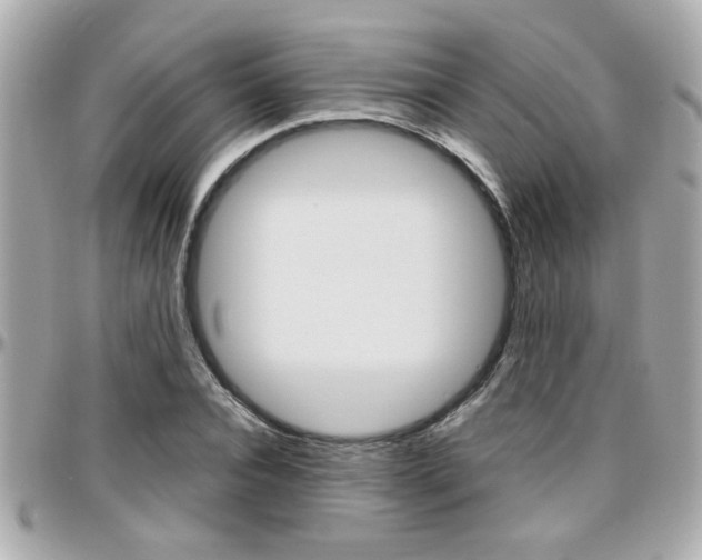 X0000096440928200801241114