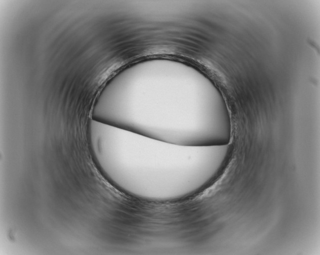 X0000096440929200801241114