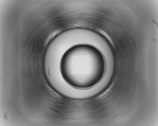 X0000096440930200801241114