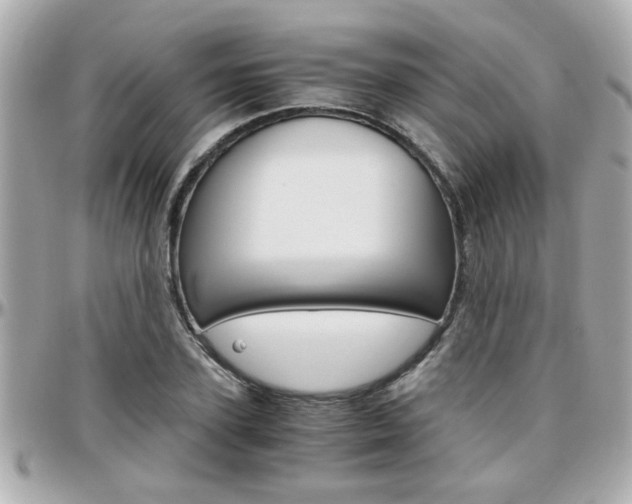 X0000096440931200801241114