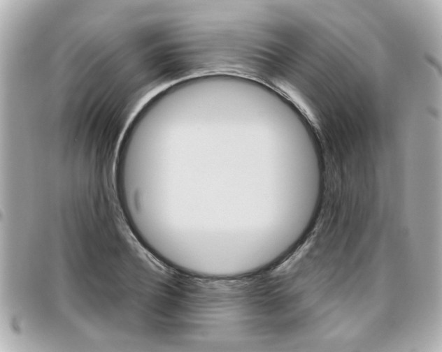 X0000096440932200801241115