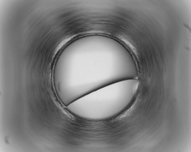 X0000096440933200801241115
