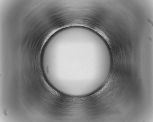 X0000096440934200801241115