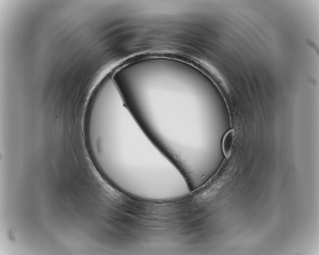 X0000096440935200801241115