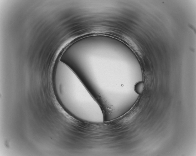 X0000096440939200801241115