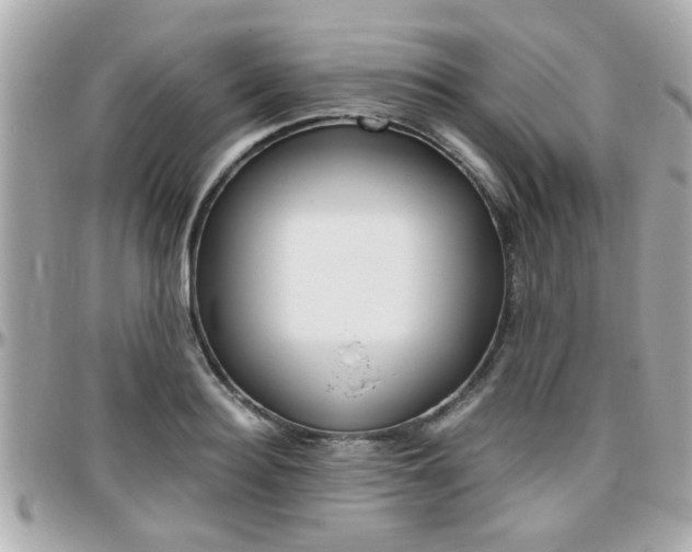 X0000096440940200801241115
