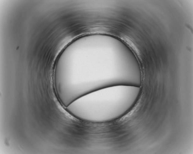 X0000096440941200801241115