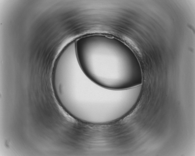 X0000096440942200801241115