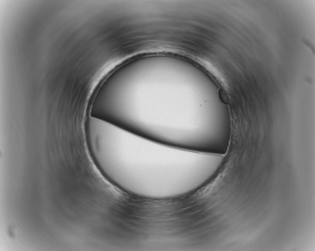X0000096440943200801241115
