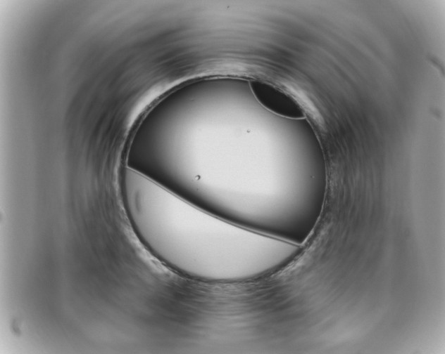 X0000096440944200801241115