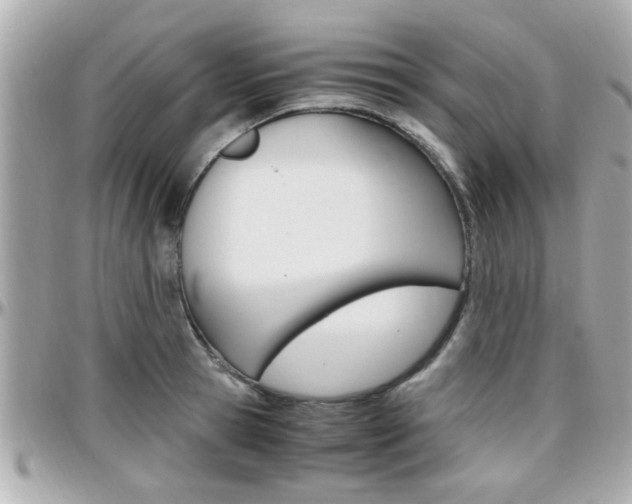 X0000096440945200801241115