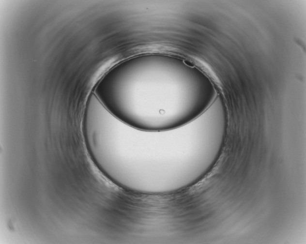 X0000096440946200801241115