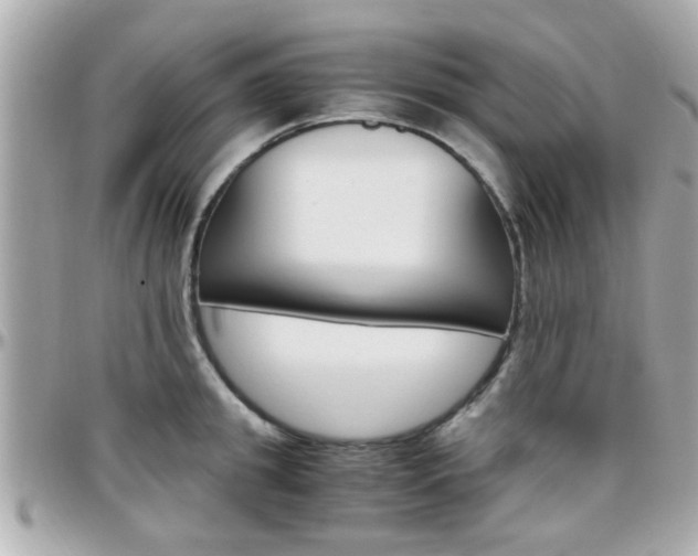 X0000096440949200801241115