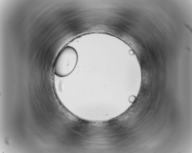 X0000096440950200801241115