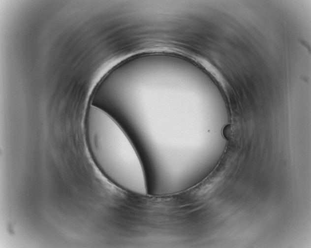 X0000096440951200801241115