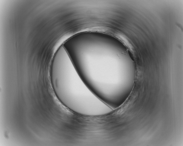 X0000096440952200801241115