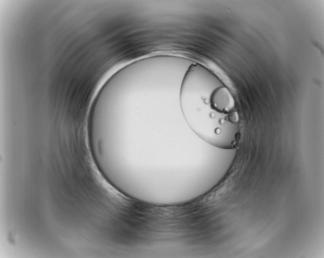X0000096440955200801241115