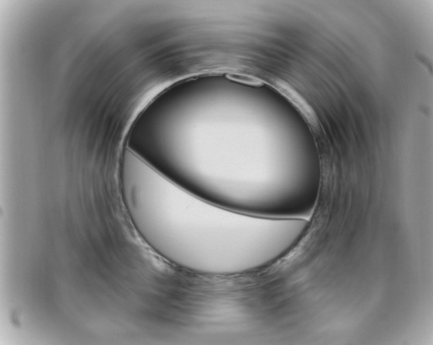 X0000096440956200801241115