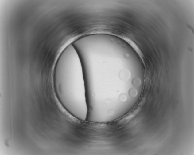 X0000096440957200801241115
