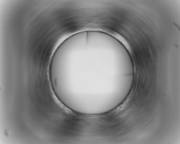 X0000096440958200801241115
