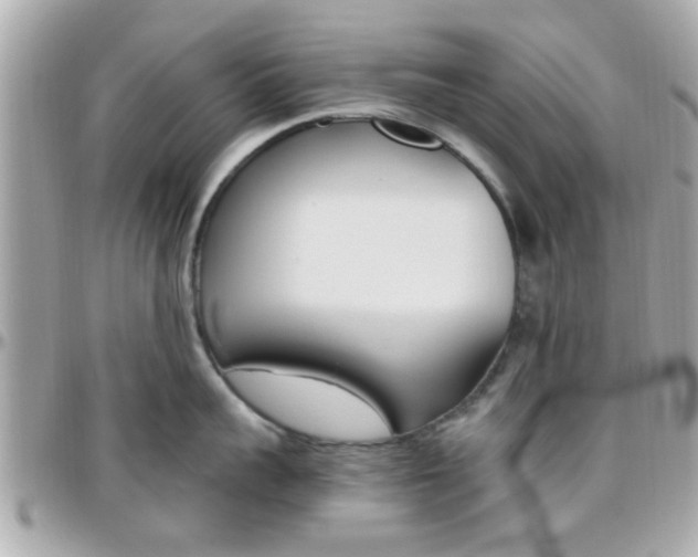 X0000096440959200801241115