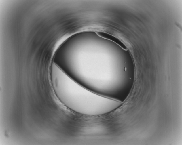 X0000096440960200801241115