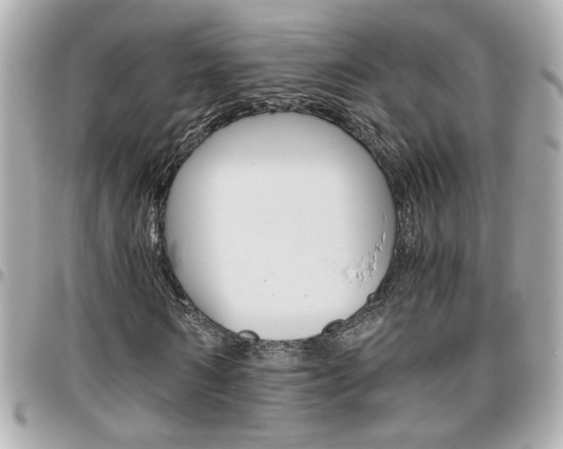 X0000096440962200801241114