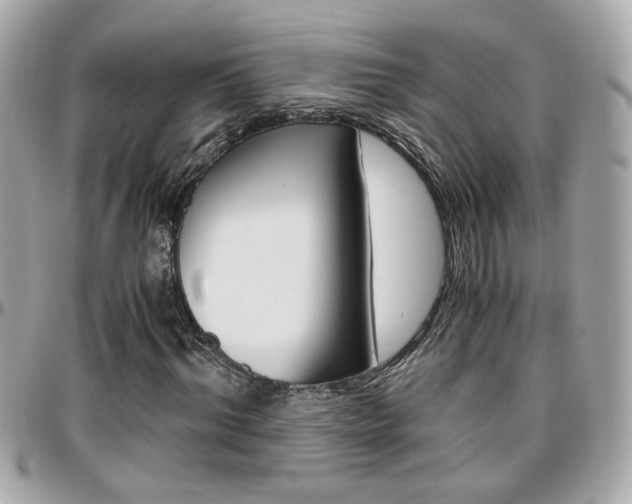 X0000096440964200801241114