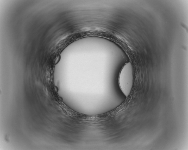 X0000096440966200801241114