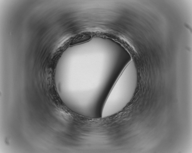 X0000096440968200801241114