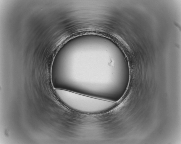 X0000096440969200801241114