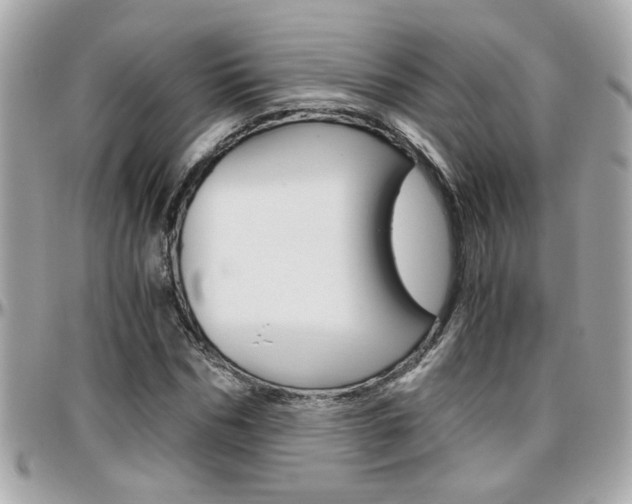 X0000096440970200801241114