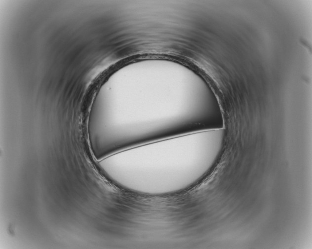 X0000096440971200801241114