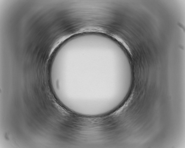 X0000096440973200801241114