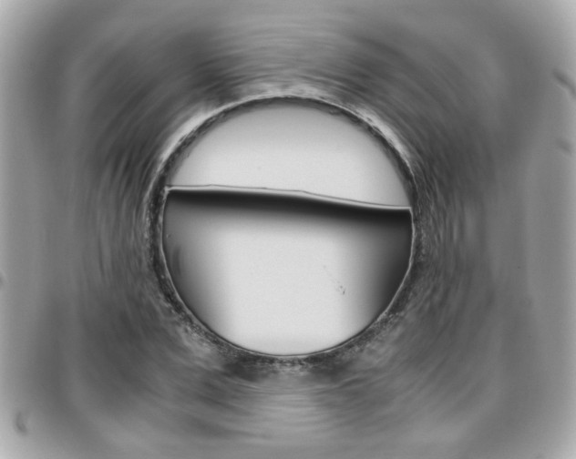 X0000096440975200801241114