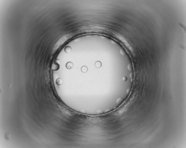 X0000096440978200801241114