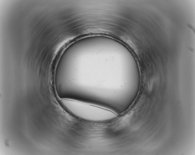 X0000096440979200801241114
