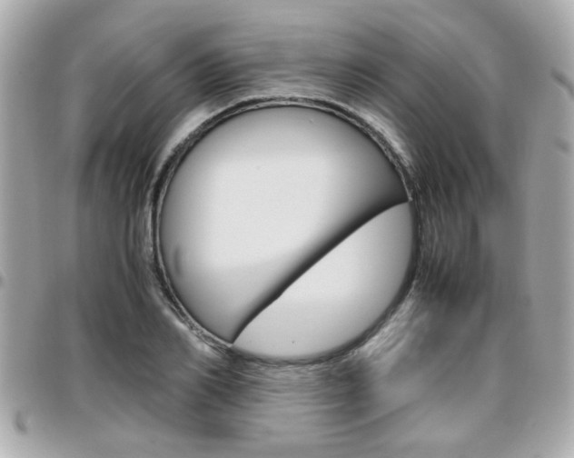 X0000096440982200801241114