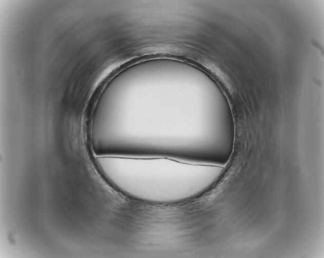 X0000096440983200801241114