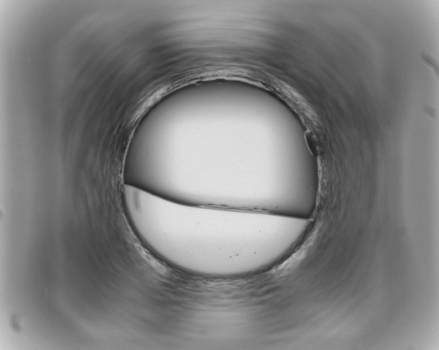 X0000096440985200801241114