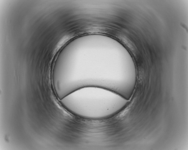 X0000096440986200801241114