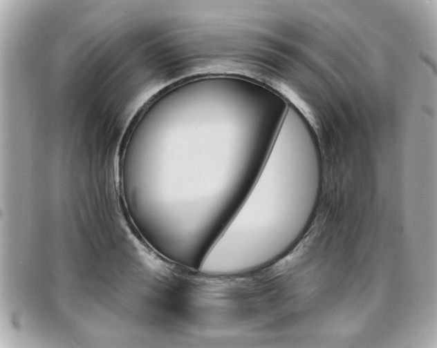 X0000096440988200801241114
