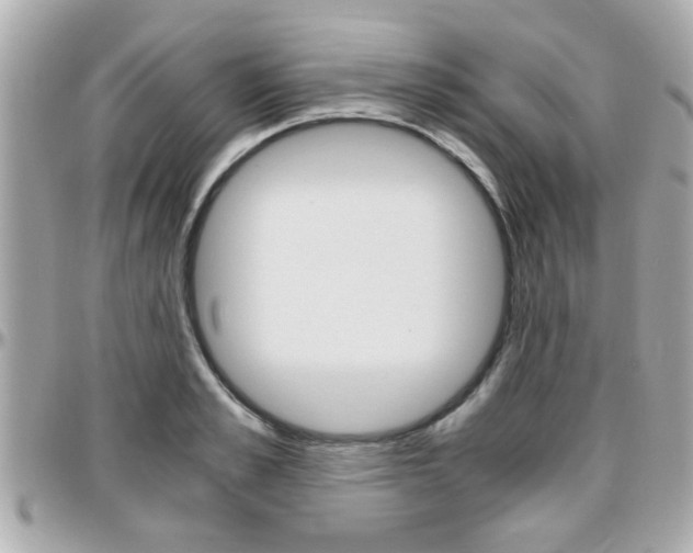 X0000096440989200801241114